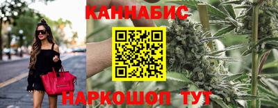 винт Новозыбков