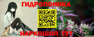 амфетамин Новодвинск