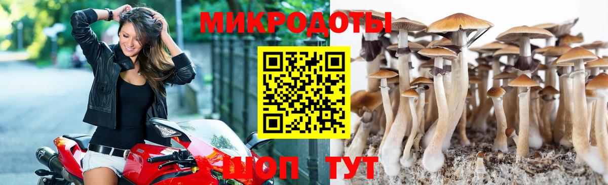 Псилоцибиновые грибы мухоморы Черняховск